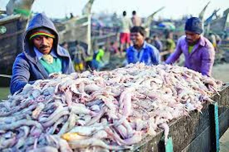 Bangladesh earns over 4 crores by exporting fish